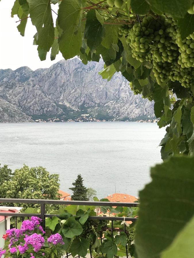 Vasko & Jana Apartamento Kotor Exterior foto